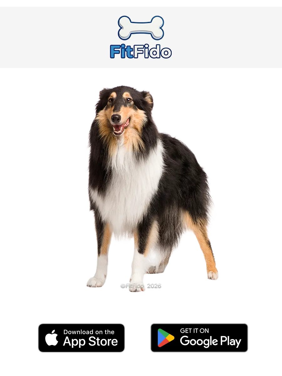 Kolie